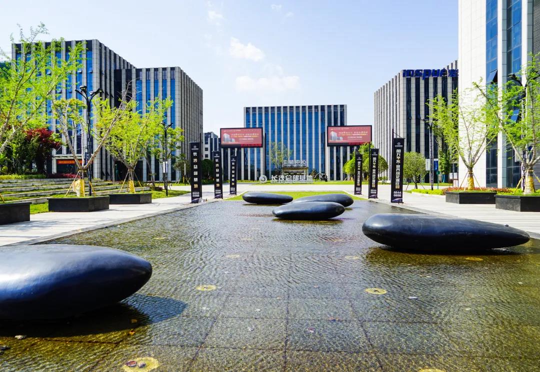 ��ɳ���蹫˾��������MS - ��ʨ�������黥��(ͼ2)