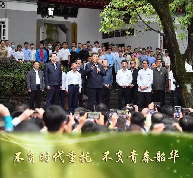 �������������MS - ��ʨ���������������(ͼ2)