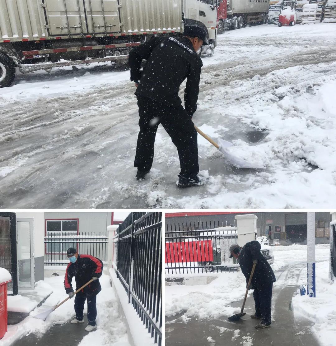 ������æææ��MS - ��ʨ�����-����������������ȫ��ӭս��˫ʮһ��(ͼ4)