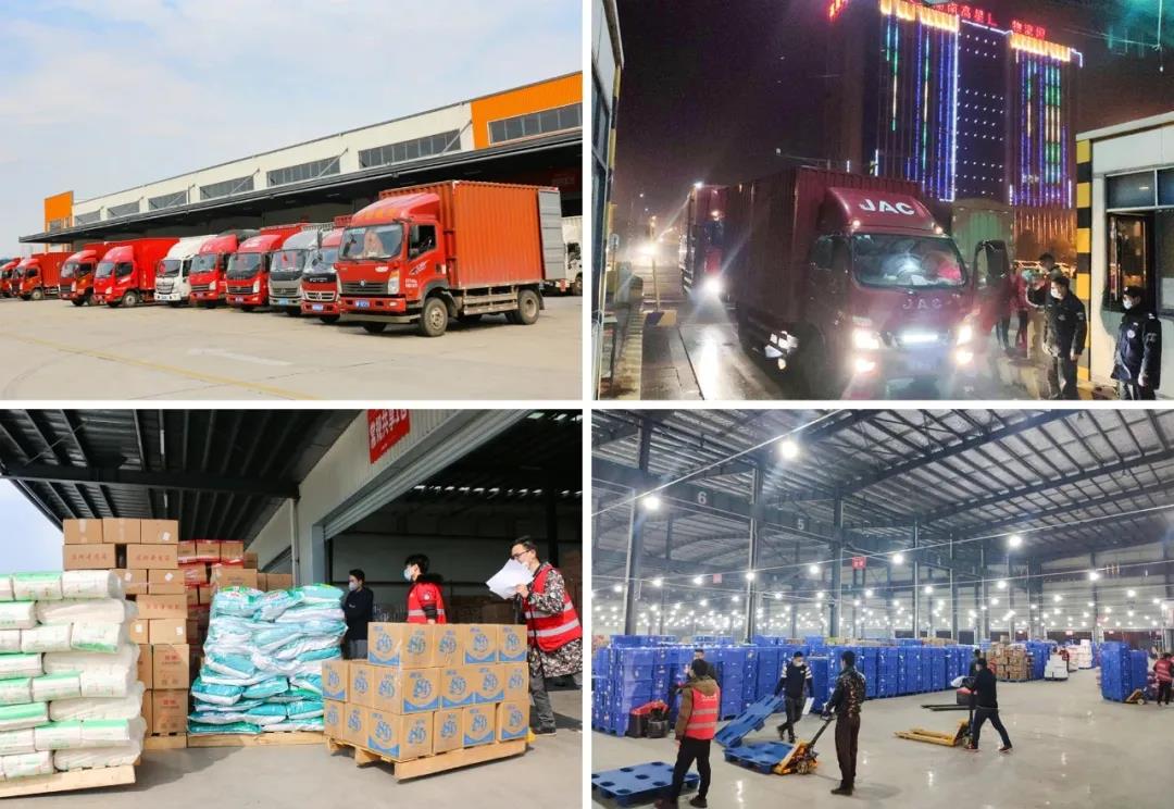 �ٵ�ȫ�����ߣ�MS - ��ʨ�������������������(ͼ5)