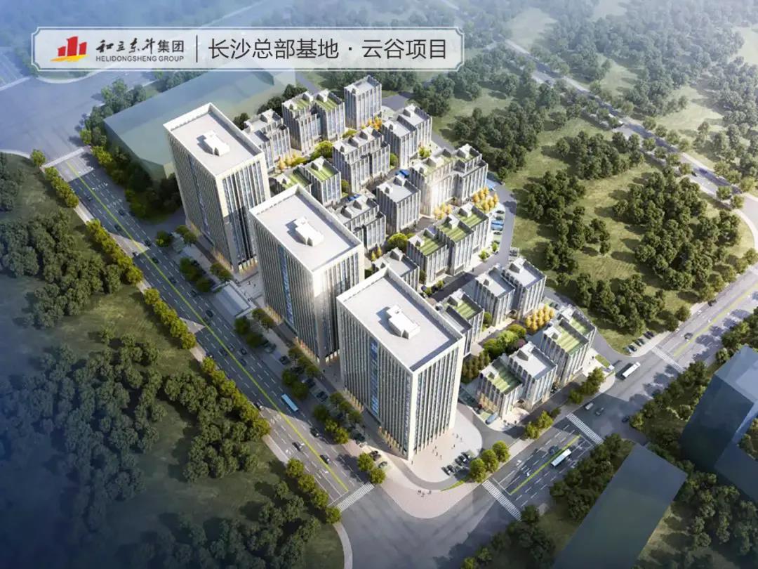 �������־�������·��MS - ��ʨ����᳤ɳ�ܲ����ء��ƹ���Ŀ����(ͼ3)